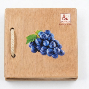 Moja prva slikovnica: Voće