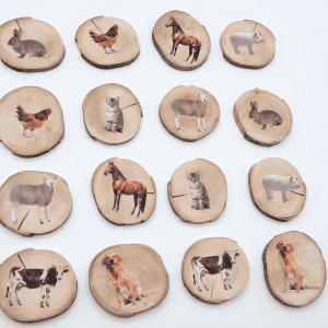 Memory  - Domaće životinje